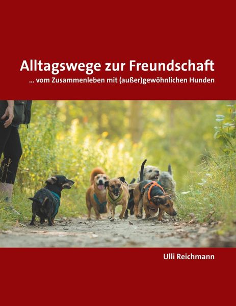 Alltagswege zur Freundschaft [Ulli Reichmann]